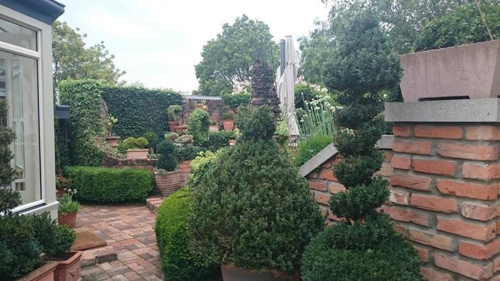 לונסטון Topiary Haven מראה חיצוני תמונה