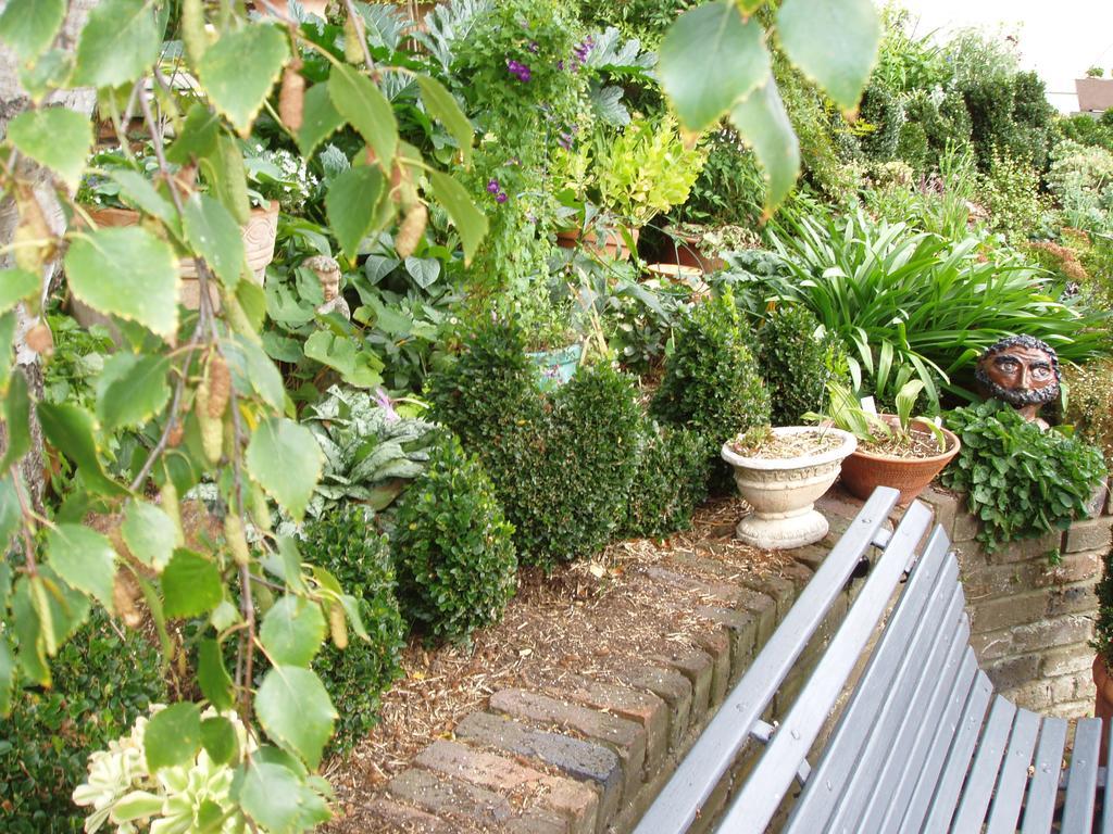 לונסטון Topiary Haven מראה חיצוני תמונה