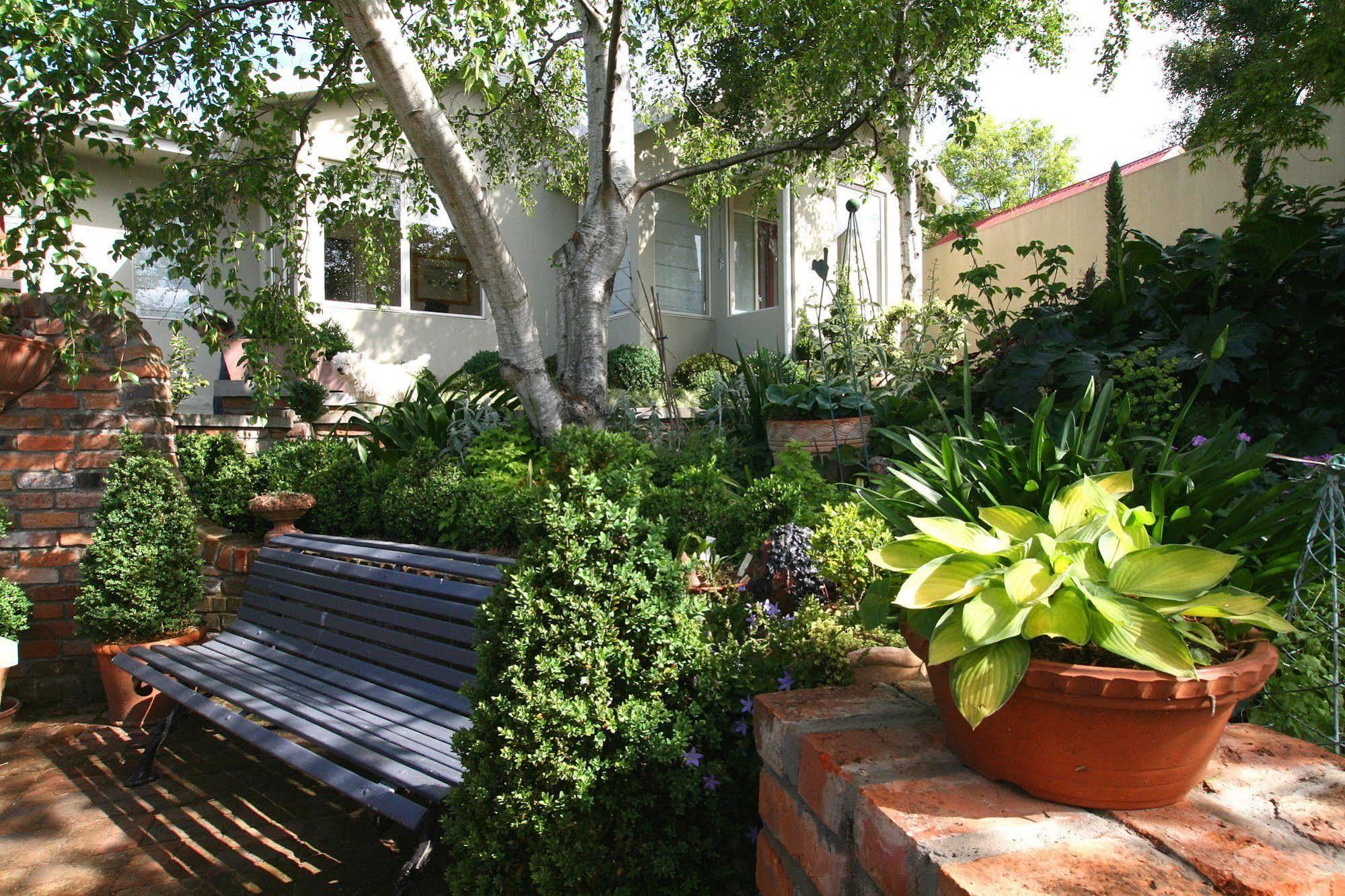לונסטון Topiary Haven מראה חיצוני תמונה