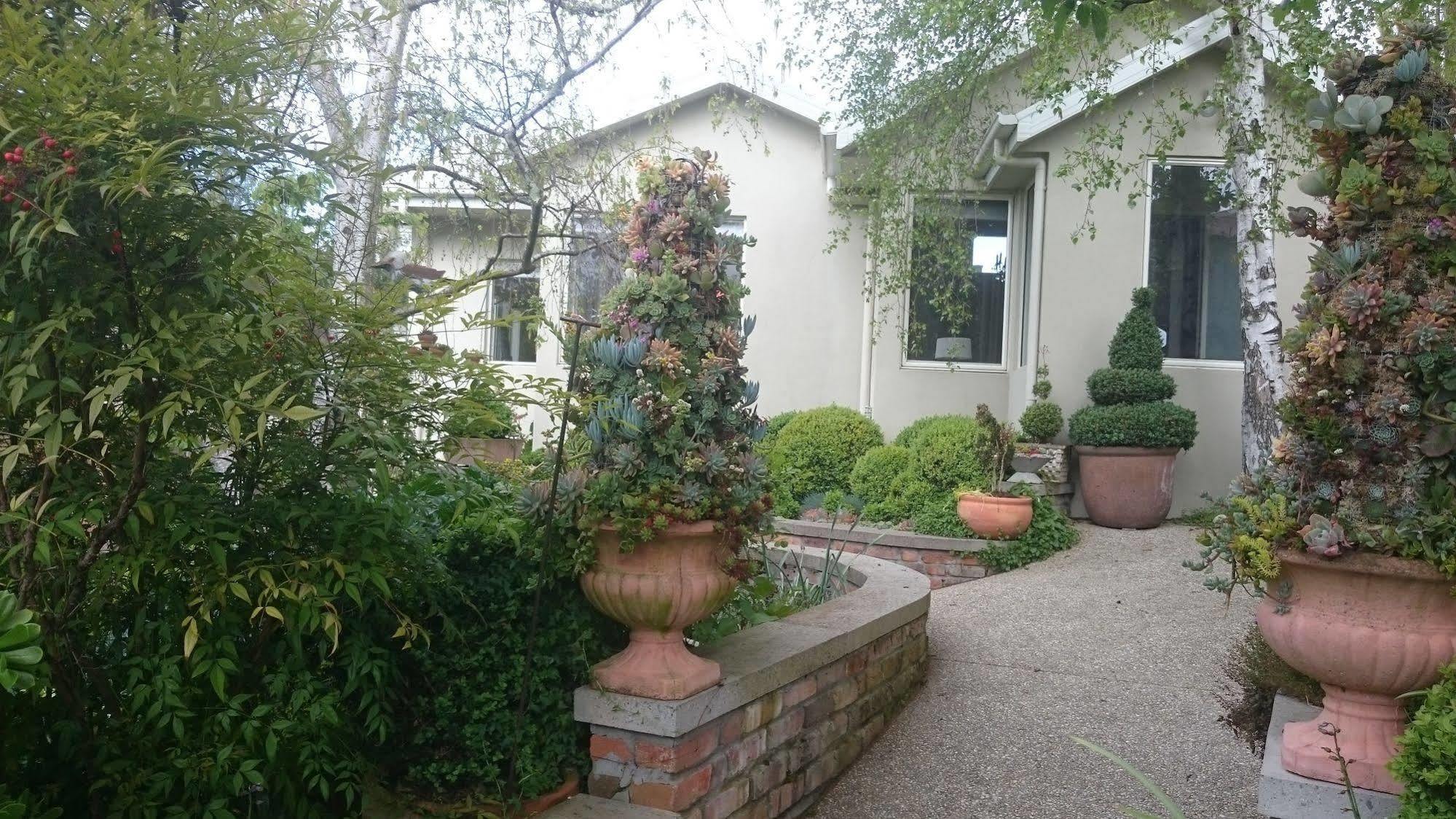 לונסטון Topiary Haven מראה חיצוני תמונה