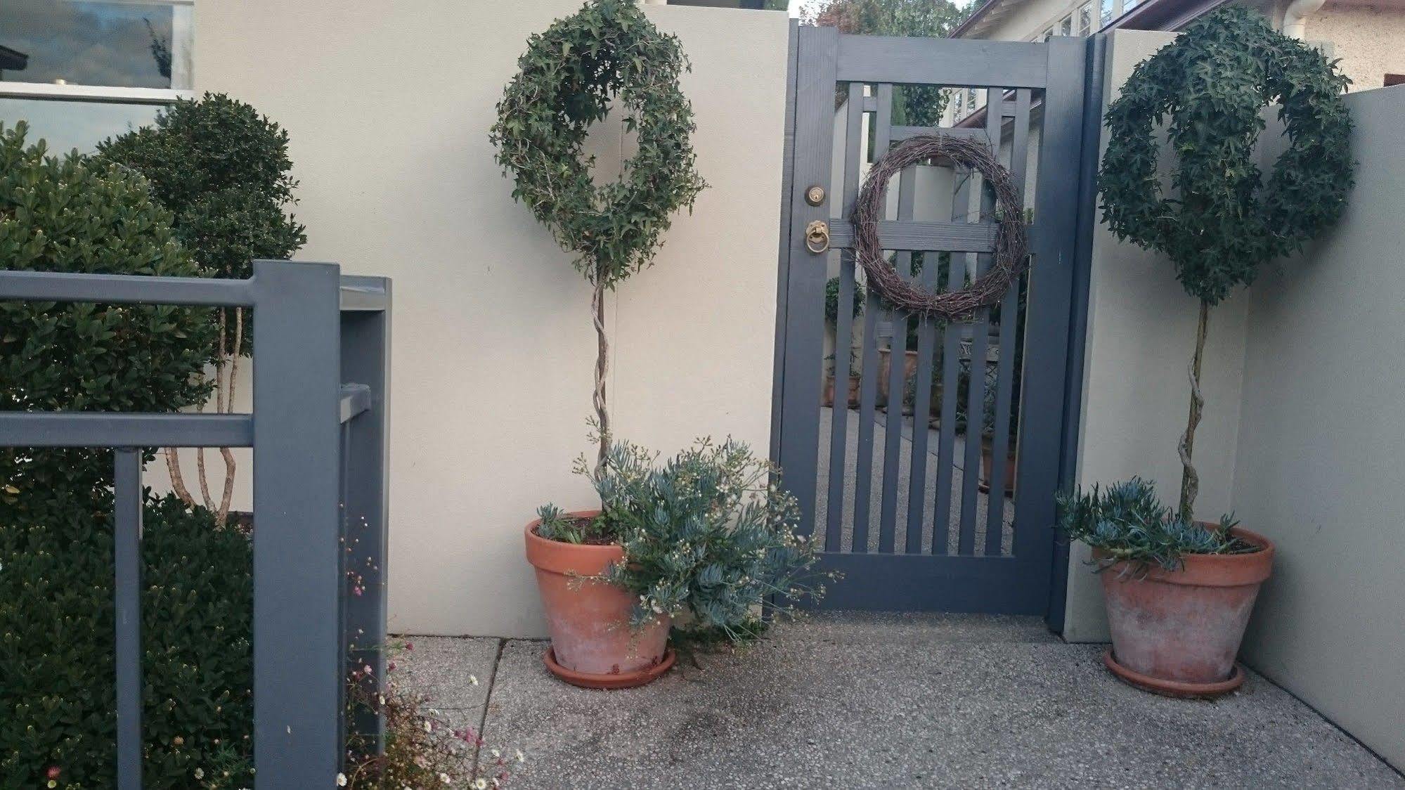 לונסטון Topiary Haven מראה חיצוני תמונה