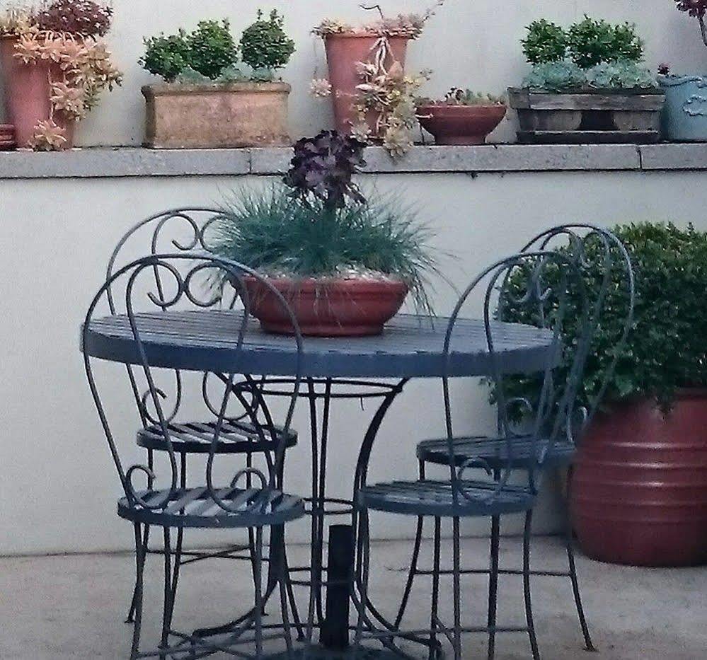 לונסטון Topiary Haven מראה חיצוני תמונה
