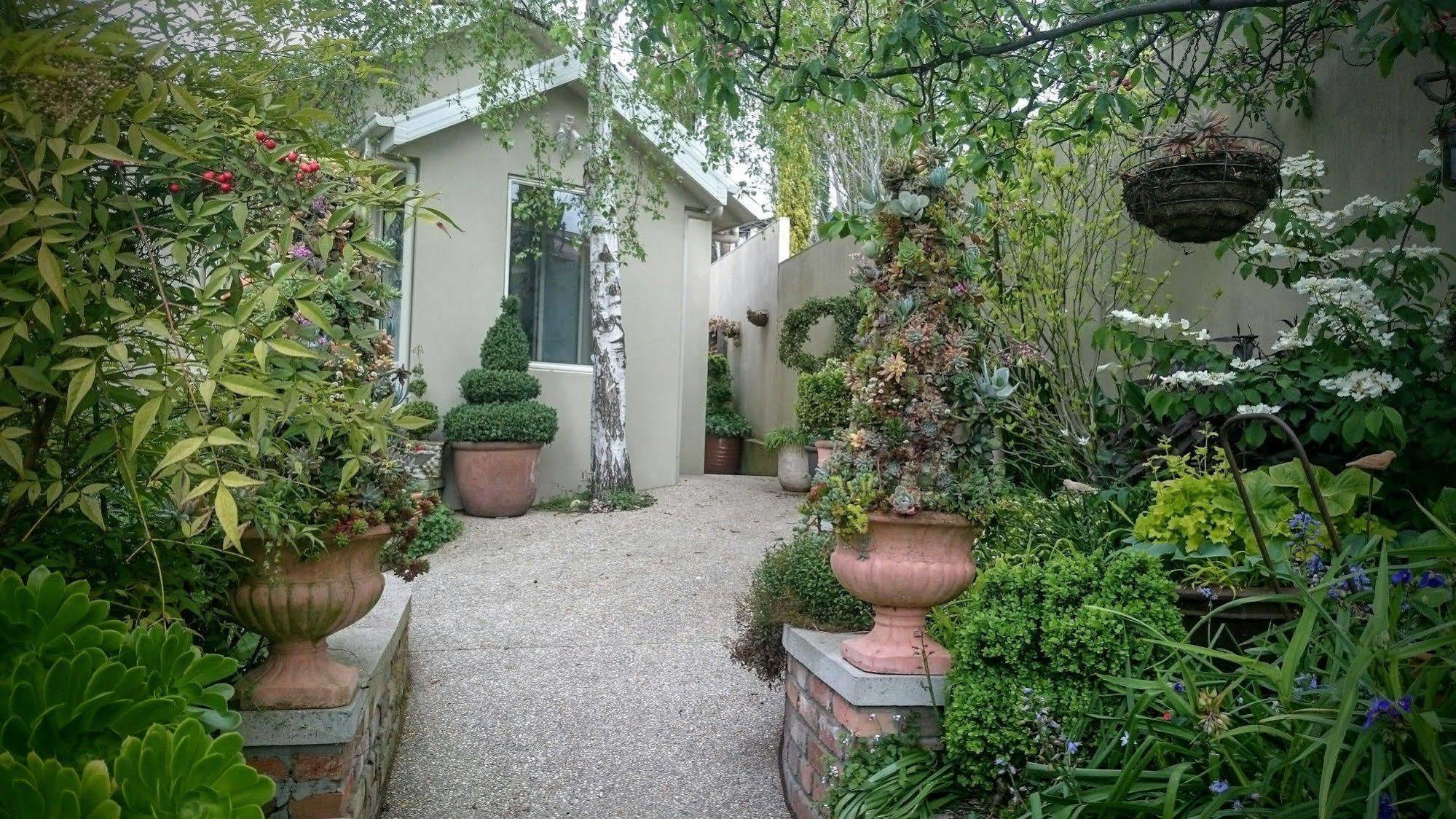 לונסטון Topiary Haven מראה חיצוני תמונה